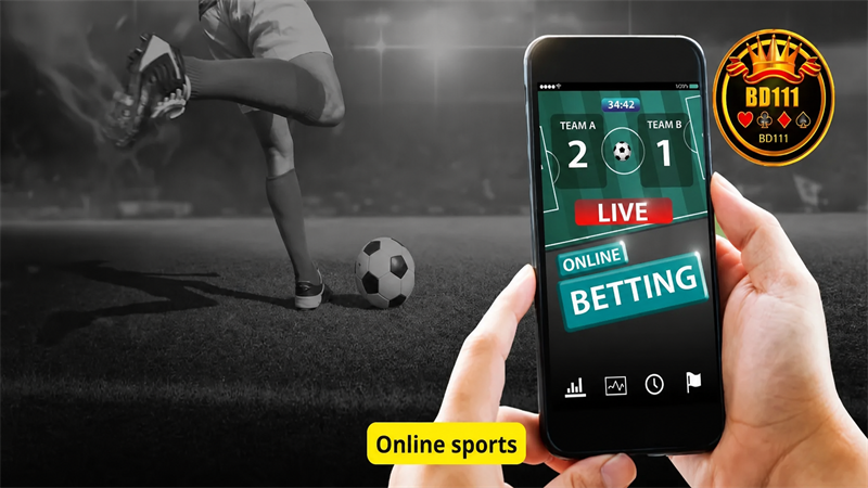 BD111 online sports artwork