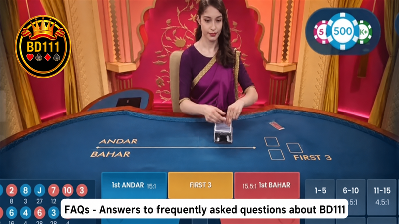 BD111 frequently asked questions artwork
